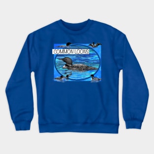 Common Loons Crewneck Sweatshirt